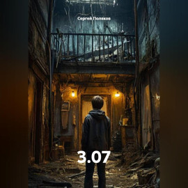 3.07