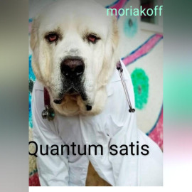 Quantum satis