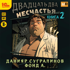 Двадцать два несчастья. Книга 2