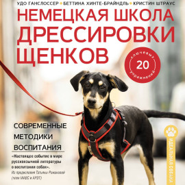 Немецкая школа дрессировки щенков. Современные методики воспитания