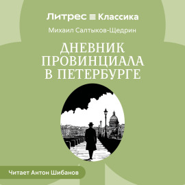 Дневник провинциала в Петербурге