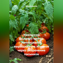 УРАЛЬСКИЙ ЭКСПРЕСС-МЕТОД: Интенсивное выращивание томатов через укоренение пасынков