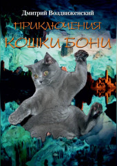 ПРИКЛЮЧЕНИЯ КОШКИ БОНИ