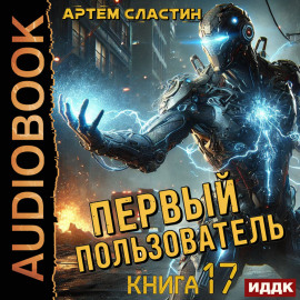 Первый пользователь. Книга 17