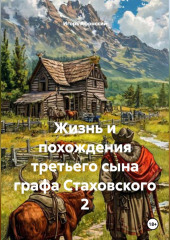Жизнь и похождения третьего сына графа Стаховского 2