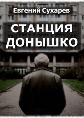 Станция Донышко