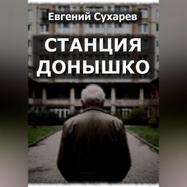 Станция Донышко