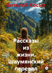 Рассказы из жизни. Шаумянский перевал