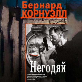 Негодяй