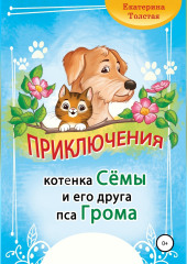Приключения котёнка Сёмы и его друга пса Грома