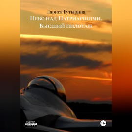 Небо над Патриаршими. Высший пилотаж