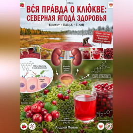 Вся правда о клюкве: северная ягода здоровья