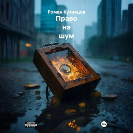 Право на шум