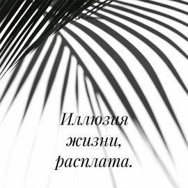 Иллюзия жизни, расплата