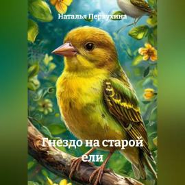 Гнездо на старой ели