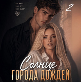 Солнце города дождей. Книга 2