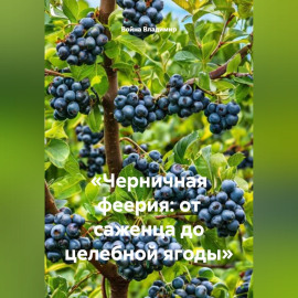 «Черничная феерия: от саженца до целебной ягоды»