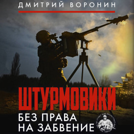Штурмовики. Без права на забвение