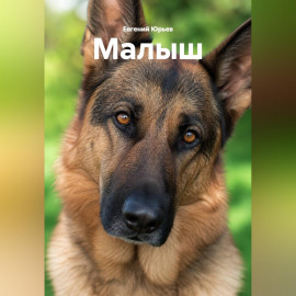 Малыш