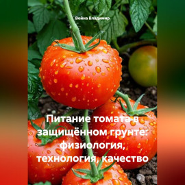 Питание томата в защищённом грунте: физиология, технология, качество