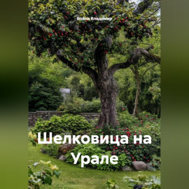 Шелковица на Урале