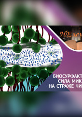 Биосурфактанты, что это за «ЗВЕРЬ»?