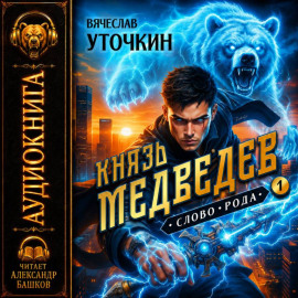 Князь Медведев. Аудиокнига I