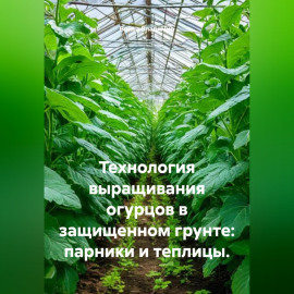 Технология выращивания огурцов в защищенном грунте: парники и теплицы.