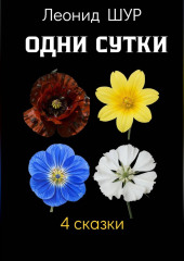 Одни сутки