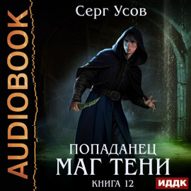 Попаданец. Маг Тени. Книга 12