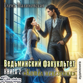 Ведьминский факультет. Книга вторая. Котел невезения