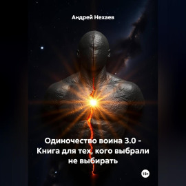 Одиночество воина 3.0 - Книга для тех, кого выбрали не выбирать