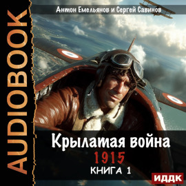 Крылатая война. 1915. Книга 1