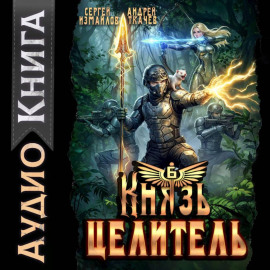 Князь Целитель 6