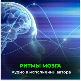Ритмы головного мозга