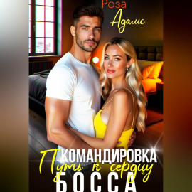 Командировка. Путь к сердцу босса.