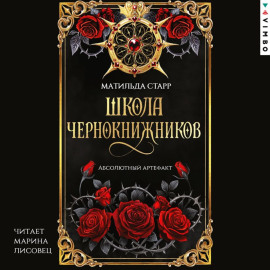 Школа чернокнижников. Абсолютный артефакт