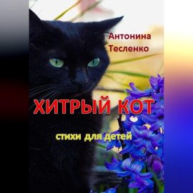 Хитрый кот