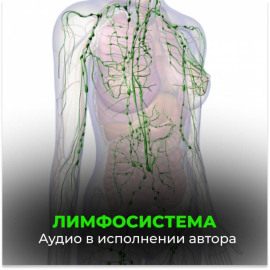 Лимфосистема