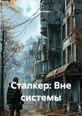 Сталкер: Вне системы.