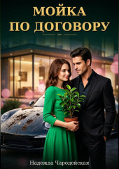 Мойка по договору