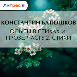 Опыты в стихах и прозе. Часть 2. Стихи