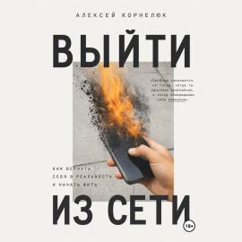 Вне сети. Роман о выгорании, успехе и жизни, которую мы откладываем