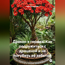 Дракон в горшке. Как подружиться с драценой и не погубить её заботой