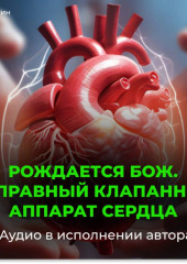 Исправный клапанный аппарат сердца