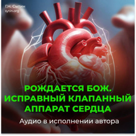 Исправный клапанный аппарат сердца