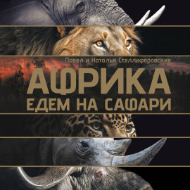 Африка. Едем на сафари