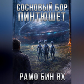 СОСНОВЫЙ БОР ПИНТЮШЕТ