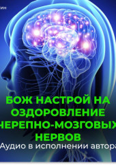 Черепно-мозговые нервы