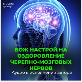 Черепно-мозговые нервы